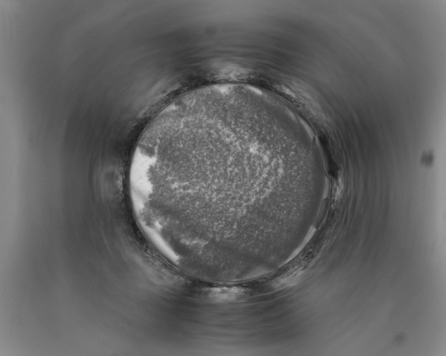 X0000089920363200707271741