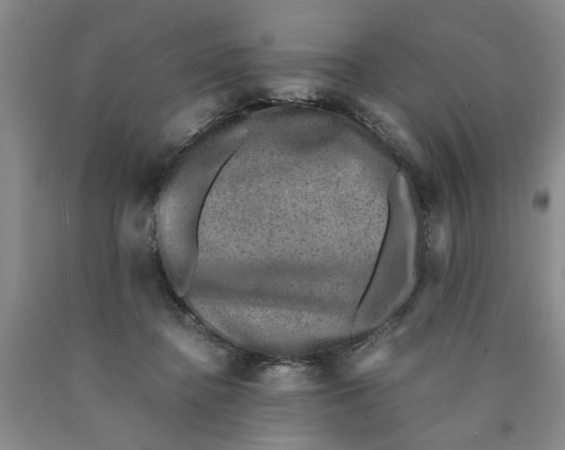 X0000089920364200707271741