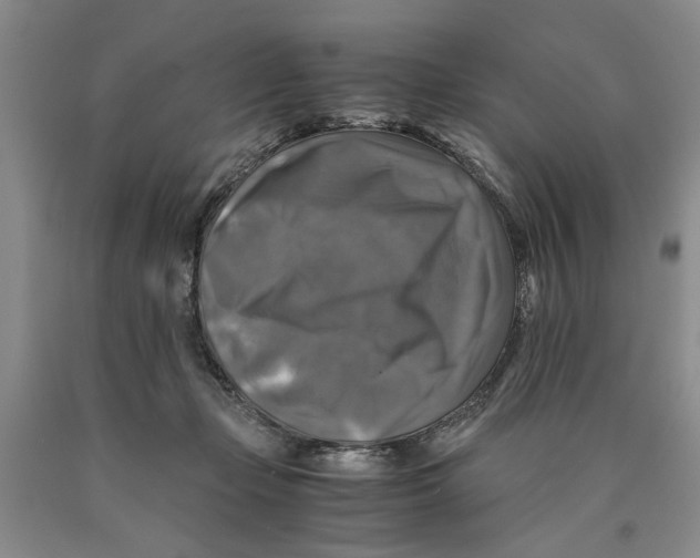 X0000089920365200707271741