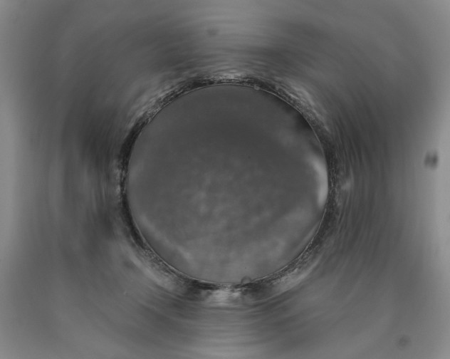 X0000089920366200707271741