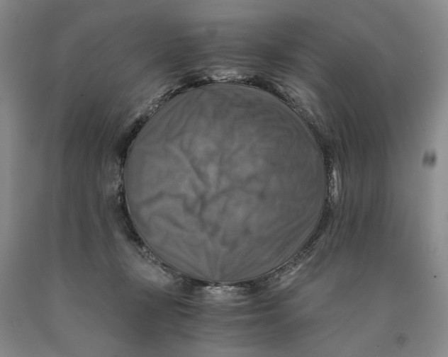 X0000089920367200707271741