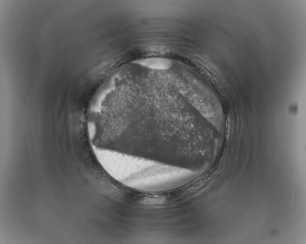 X0000089920369200707271741