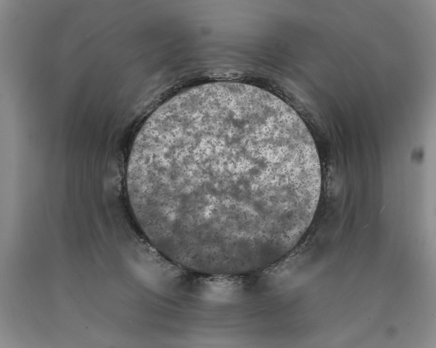 X0000089920370200707271741