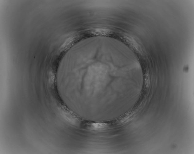 X0000089920371200707271741