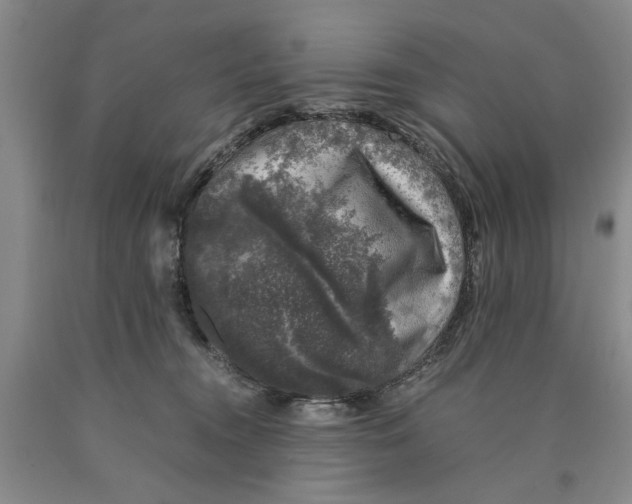 X0000089920372200707271741