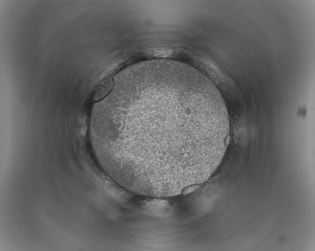 X0000089920374200707271741