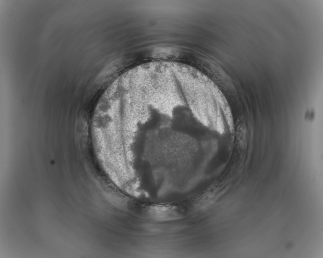 X0000089920375200707271741