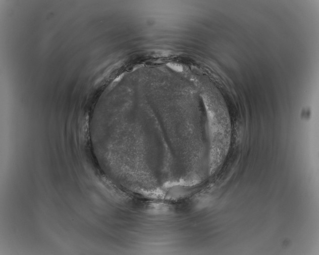 X0000089920376200707271741