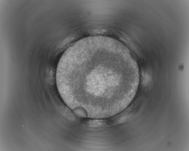 X0000089920378200707271741