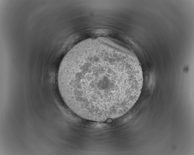 X0000089920379200707271741