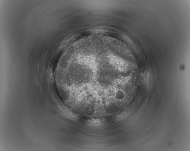 X0000089920381200707271741