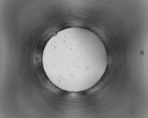 X0000089920382200707271741