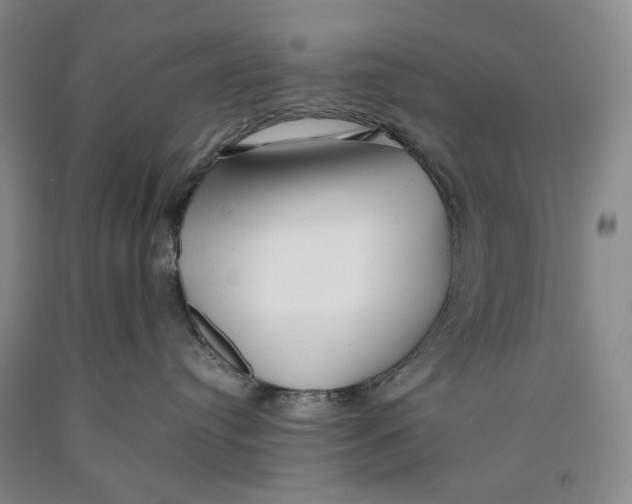 X0000089920384200707271741