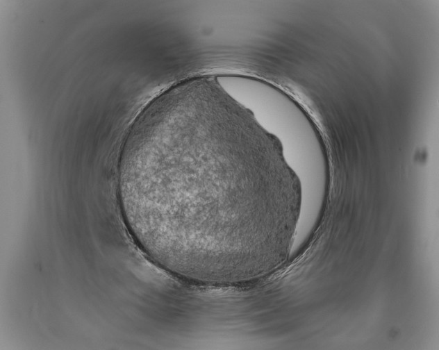 X0000089920385200707271740