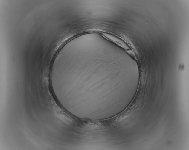 X0000089920386200707271740