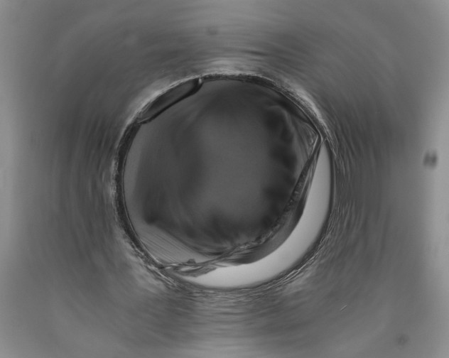 X0000089920387200707271740