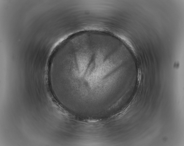 X0000089920388200707271740