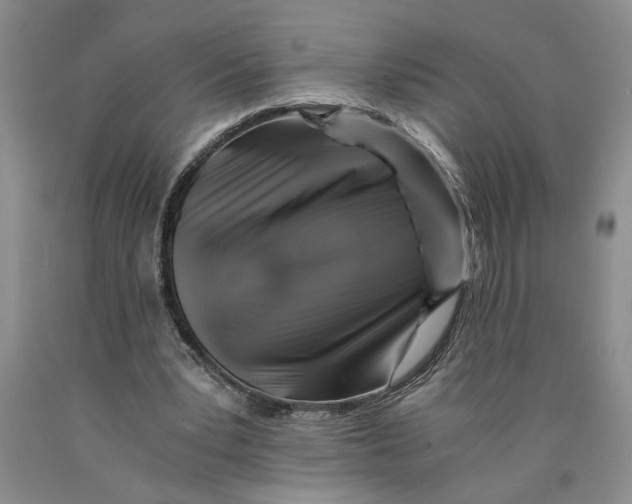 X0000089920391200707271740