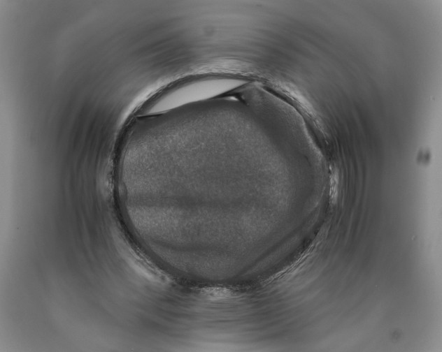 X0000089920392200707271740