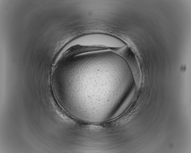 X0000089920393200707271740