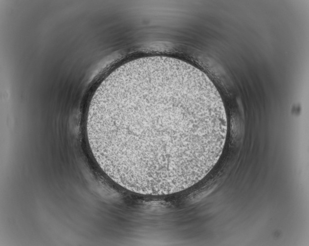 X0000089920396200707271740