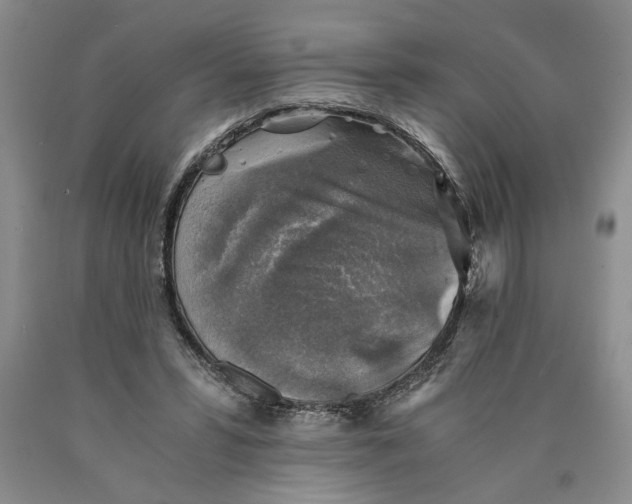 X0000089920399200707271740