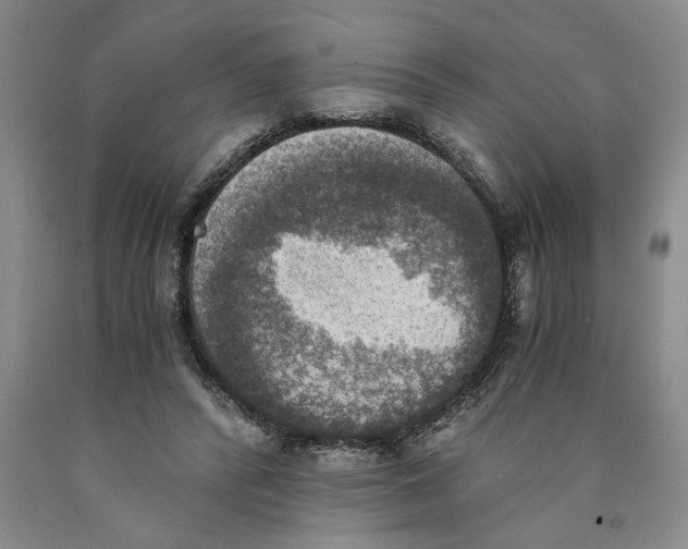 X0000089920400200707271740