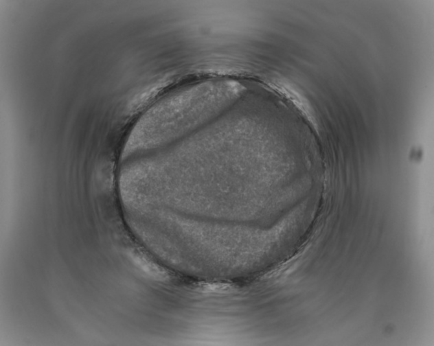 X0000089920401200707271740