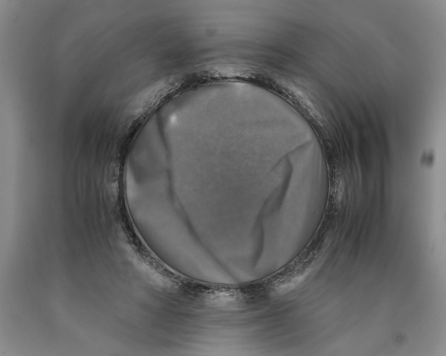 X0000089920402200707271740