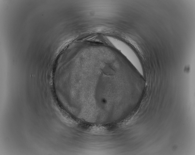 X0000089920403200707271740