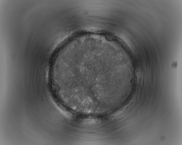 X0000089920404200707271740