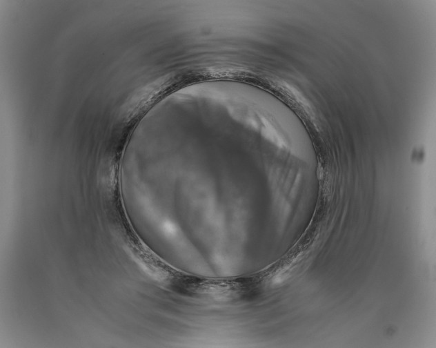 X0000089920405200707271740