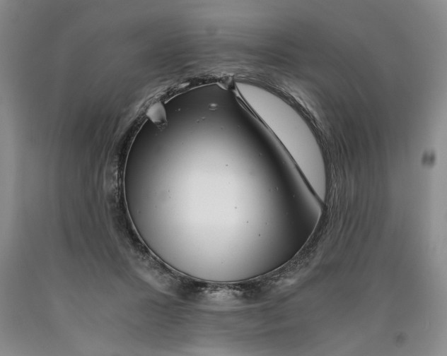 X0000089920407200707271740