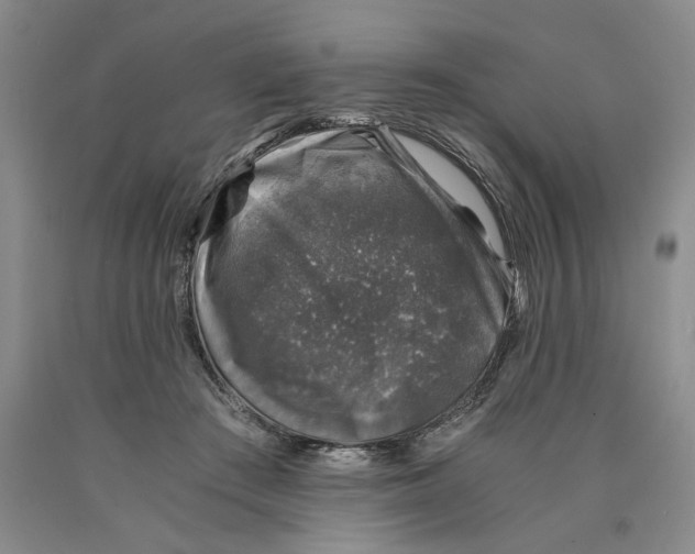 X0000089920409200707271740