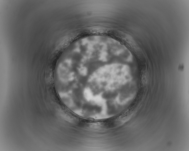 X0000089920411200707271740