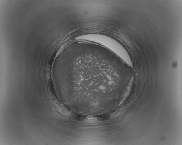 X0000089920413200707271740