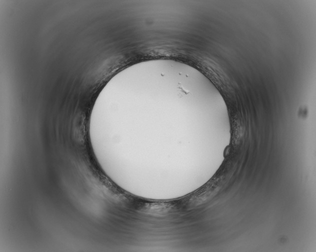 X0000089920414200707271740