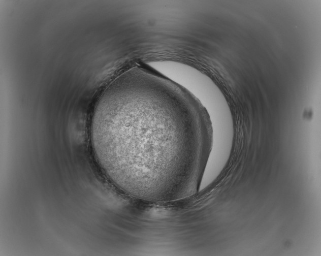 X0000089920416200707271740