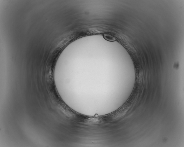 X0000089920418200707271740