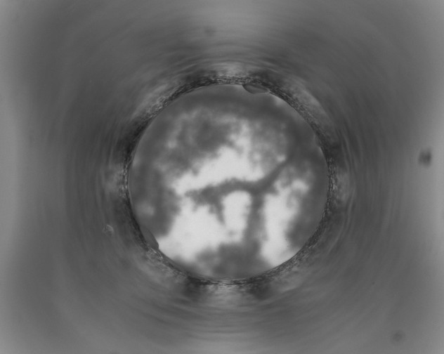 X0000089920419200707271740