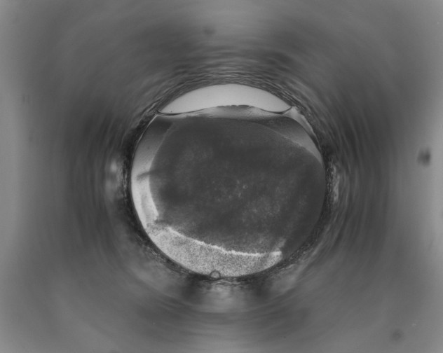 X0000089920420200707271740