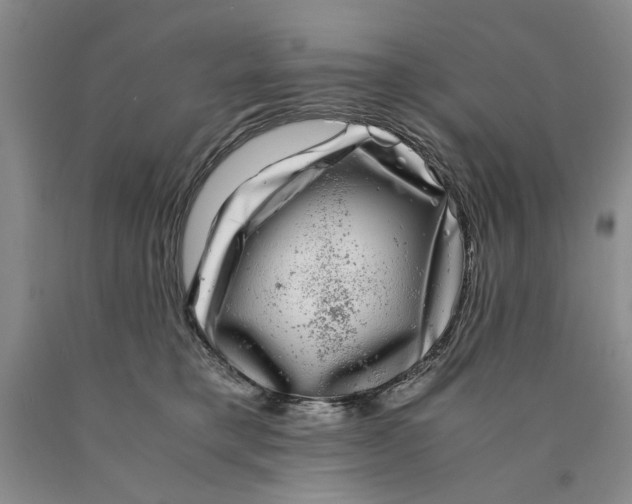 X0000089920421200707271740