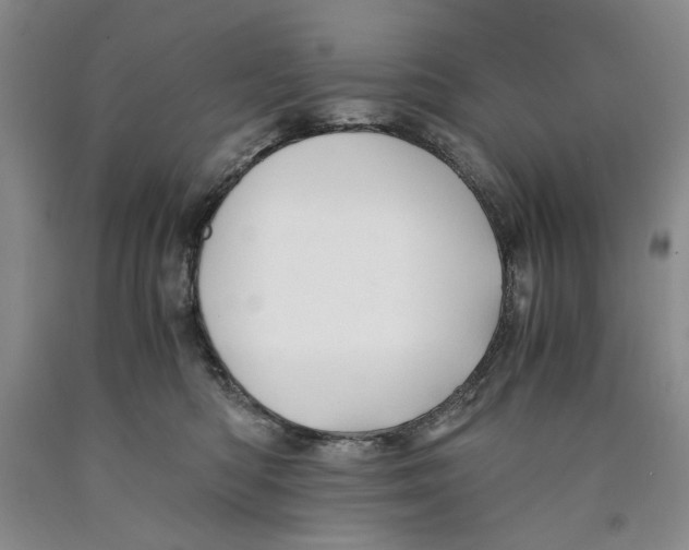 X0000089920422200707271740