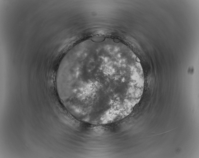 X0000089920423200707271740