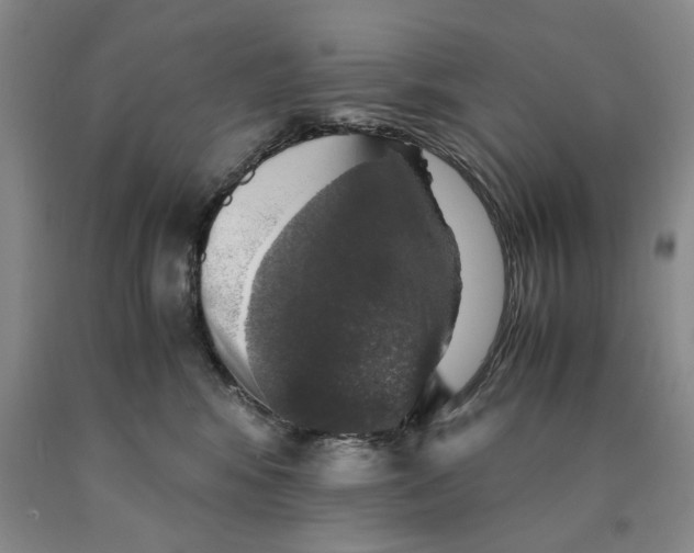 X0000089920424200707271740