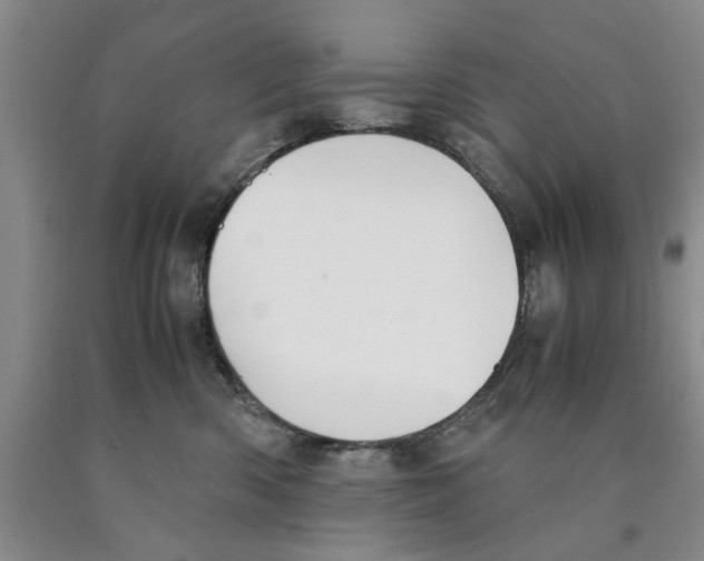 X0000089920426200707271740