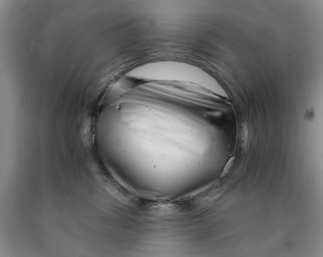 X0000089920428200707271740