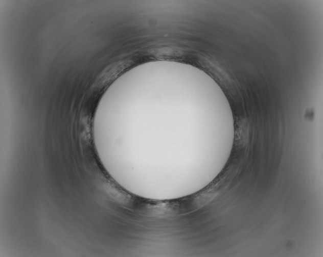 X0000089920430200707271740