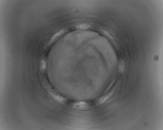 X0000089920431200707271740