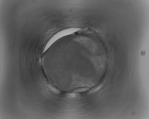 X0000089920432200707271740